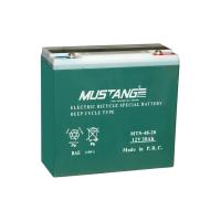 Mustang 12v 20Ah Elektrikli Bisiklet Aküsü 6dzm20
